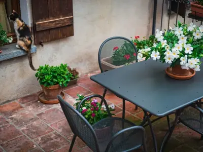 balkonseramikfayanslariveboyamasureci